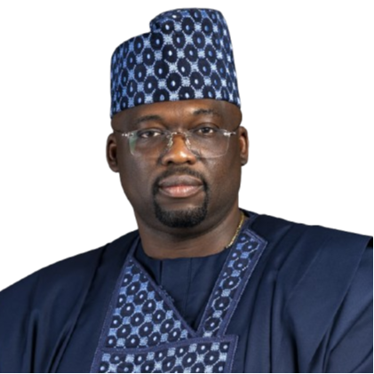 George Onafowokan FNSE