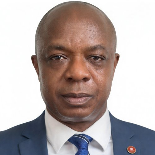 Engr. Wole Ogunsanya FNSE