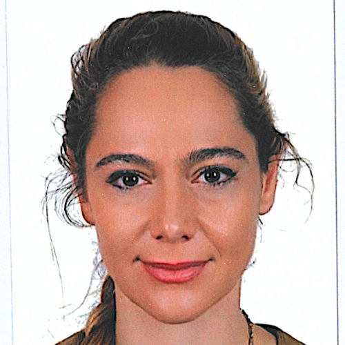 profile